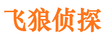 东兴区市侦探公司